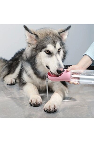 shopwave Portable Pet Waterer Travel Container Lockable Water Leak Proof Container 350 ml (5047)