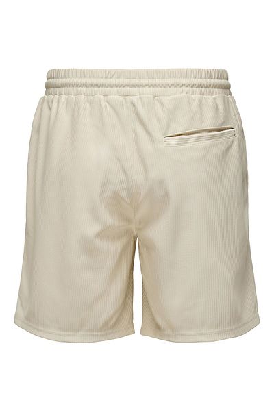 Only & Sons Shorts ONSTEL Mittlere Taille Normal geschnitten Shorts