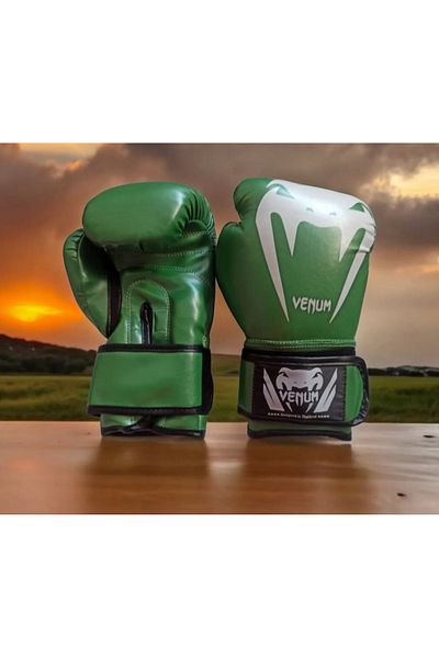 Venum Boxing Gloves