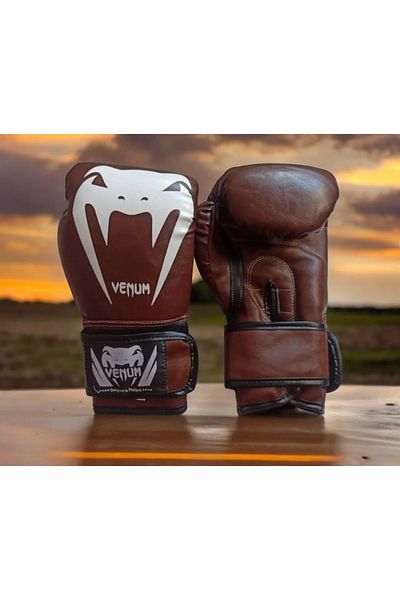Venum Boxing Gloves