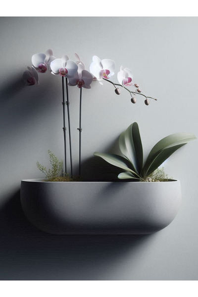 Atsu 3D Duvara Monte Saksılık - 6.6/5.6/16.5 Cm