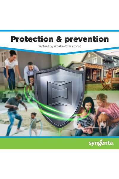 SYNGENTA Optigard Ant Gel Bait (4 TUBES X 30G) Indoor And Outdoor Use, Kills Major Ant Species - Made In Usa