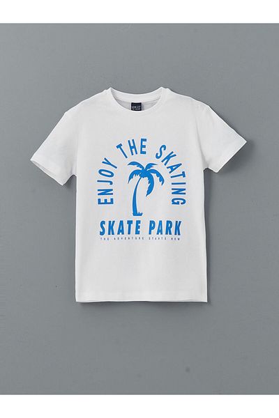 LC Waikiki New Season Crew Neck Boy's T-Shirt - S5I421Z4