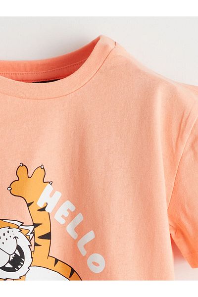 LC Waikiki Crew Neck Boy's T-Shirt