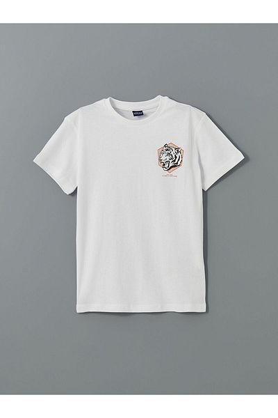 LC Waikiki Crew Neck Boy's T-Shirt
