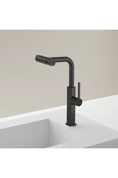 LUXURY Luxury Modern Style Gray Pull Out Sink Mixer