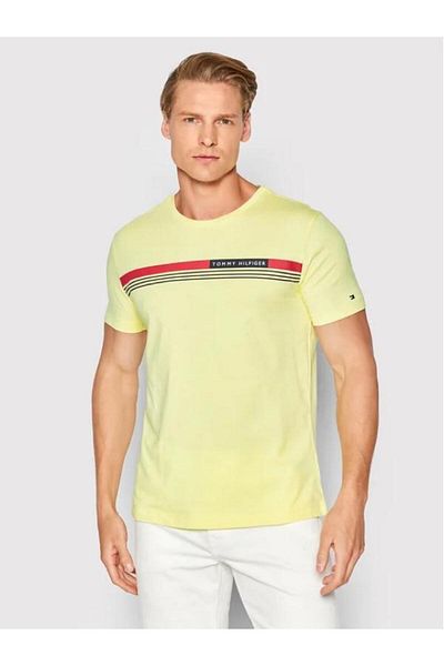 Tommy Hilfiger Men's 1985 Polo Organic Cotton Regular Fit T-Shirt