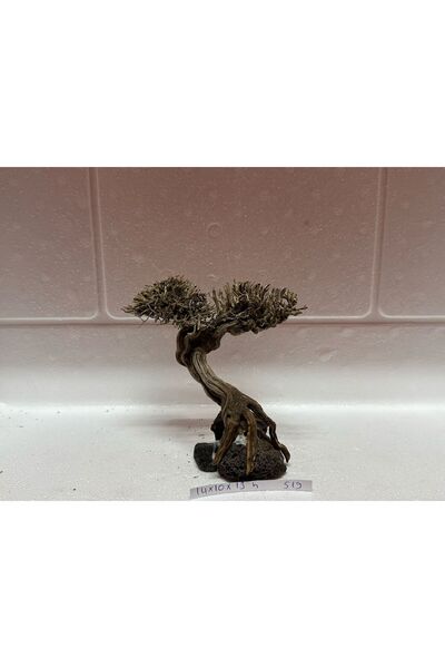 Meç Moss Ağaç Figürü Kök (No:519) [14x10x13h]