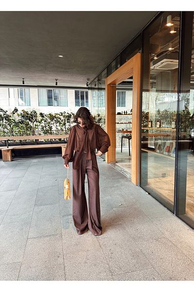 SANX Women's Brown Chiffon Shirt Loose Fitting Long Sleeve Lacing Lapel Special Occasion Invitation Office Modern Shirt