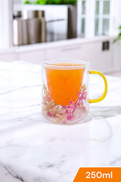 Kitchen Way Çift Cidarlı Borosilikat 250ml Çiçek Figürlü Kupa Cam Bardak Kw-377C