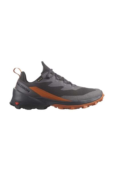 Salomon Мъжки обувки за туризъм Cross Over 2 Gtx L47265000, черни