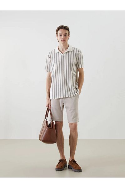 LC Waikiki Ανδρικό μπλουζάκι LCW Vision Polo με κοντό μανίκι ριγέ