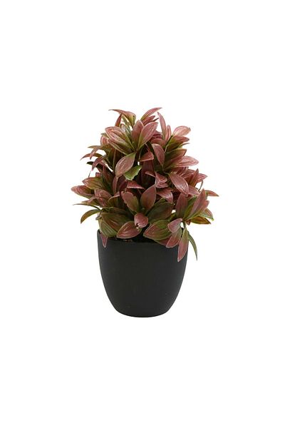 Ella Home Italia Aranjament Ghiveci, Caramiziu, Plastic, 21Cm - Caramiziu, Plastic, 21cm