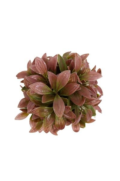 Ella Home Italia Aranjament Ghiveci, Caramiziu, Plastic, 21Cm - Caramiziu, Plastic, 21cm