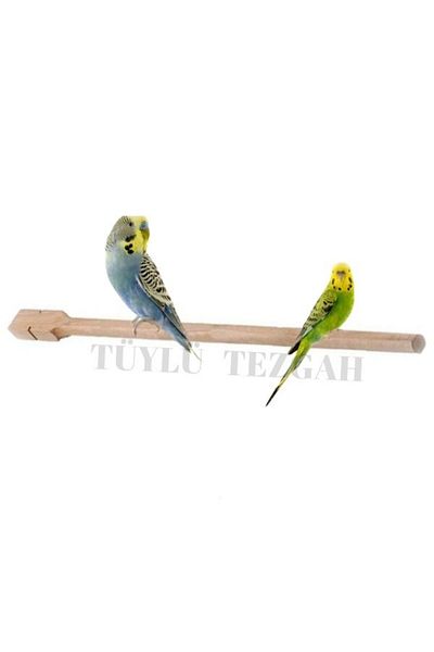 Tüylü Tezgah Natural Bird Perch Perch 20cm 3Pcs Cage Perch Perch for Cage Birds