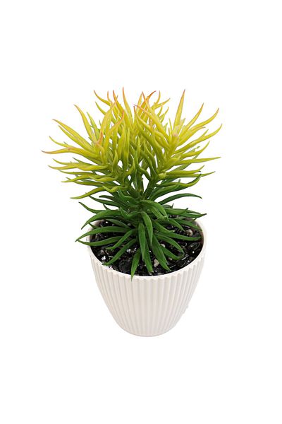 Ella Home Italia Planta Suculenta In Ghiveci, Alb, Plastic, 19cm - Alb, Plastic, 19cm