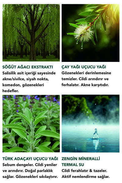 Densa Essential MATLAŞTIRICI & DENGELEYİCİ DETOKS SERUM 50 ml - AKNE/SİVİLCE, KOMEDON, SİYAH NOKTA, GÖZENEK KARŞITI