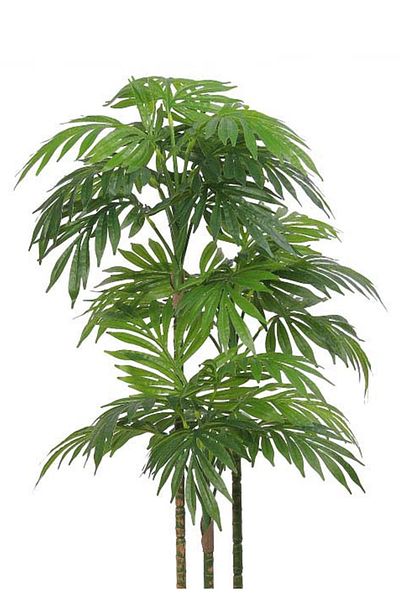 Generic Artificial palm tree 110 cm (3 branches) with a cylindrical plastic stand