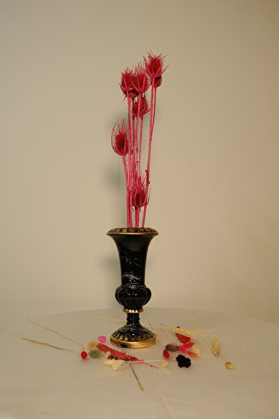 ÇINARASYADAHOME Floare uscată de spinoza de lămâie înfiorătă