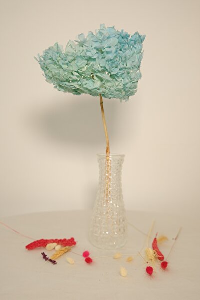 ÇINARASYADAHOME Зашеметен MIDDLE (голяма глава)