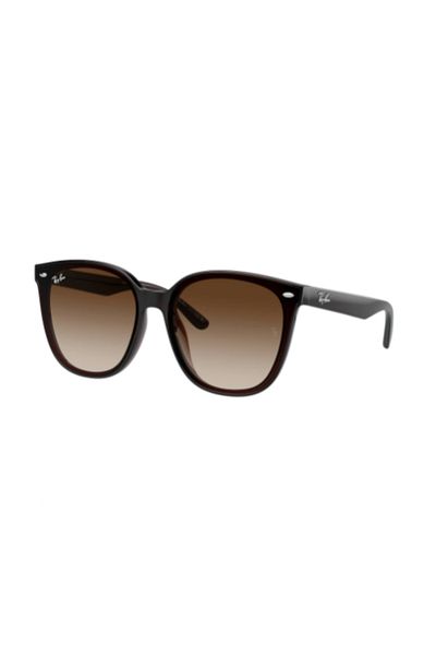 Ray-Ban Ray Ban Unisex Irregular Sunglasses- Rb 4423d - Lense Size:66mm - Transparent Brown