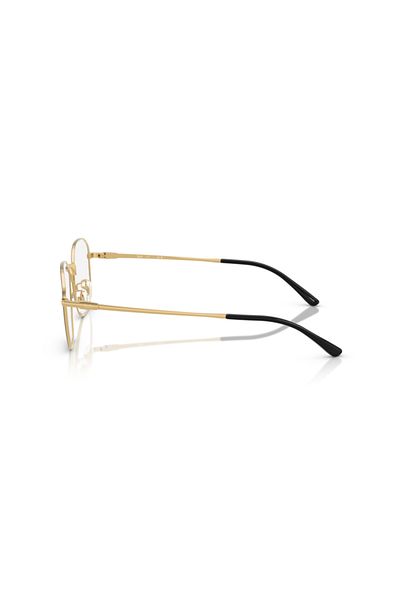 Ray-Ban Ray Ban Vista Unisex Irregular Eyeglasses- Rb 8777d - Lense Size:53mm - Black On Gold