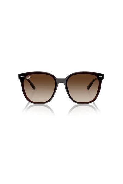 Ray-Ban Ray Ban Unisex Irregular Sunglasses- Rb 4423d - Lense Size:66mm - Transparent Brown
