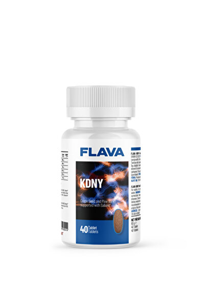 FLAVA Kdny - 40 Tablet