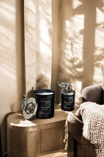 Tiem Concept Özel Tasarım Dekoratif Gümüş Filli Vanilya Kokulu 2'li Beyaz Bar...