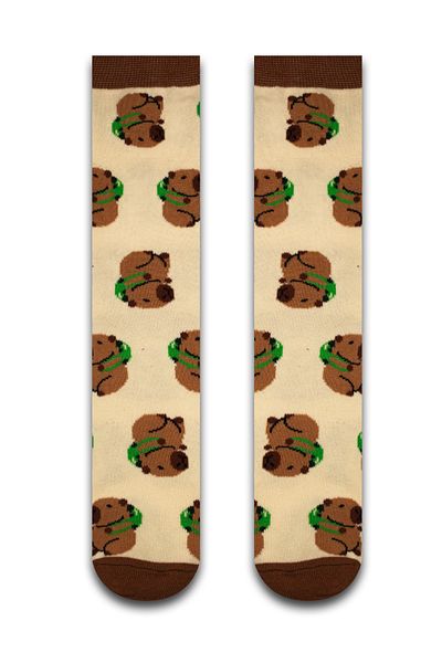 Neşeli Çoraplar Capybara Colorful Men's Socks