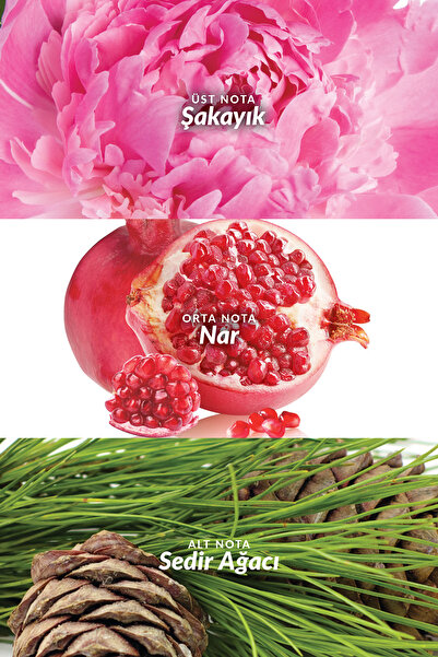 AVON Eve Truth Kadın Parfümü Edp 50 Ml.