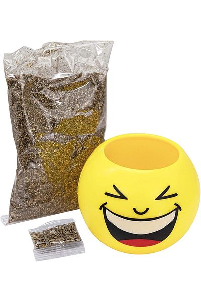 Generic Toy grass smiley head