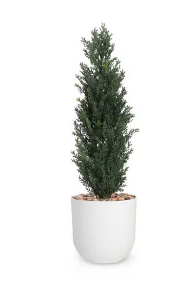 co arma Artificial Simulation Cypress Tree for Garden, Home and Balcony Decoration 65cm