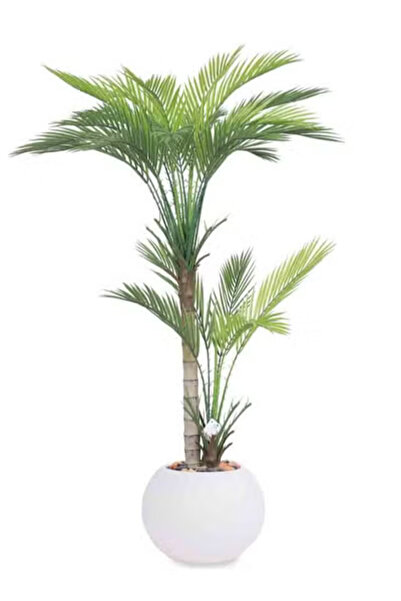 co arma شجرة اريكا حوض ابيض ارتفاع 130 سم