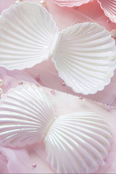 AURRARİ Sedef Hediye ve Seyahat Takı Taşıma İstiridye Kutusu