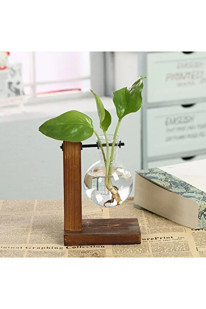 Choice مزهرية زجاجية شفافة على شكل لمبة مع حامل خشبي لسطح المكتب لنباتات الزراعة المائية والقهوة