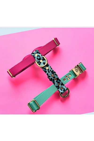TheTailor Hello Chest Collar