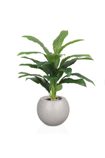 co arma Artificial tree simulation of a real corn tree, 65 cm high