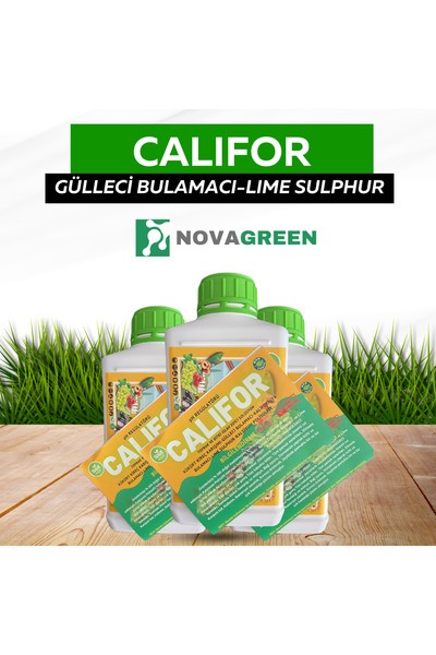 Califor Orjinal Gülleci Bulamacı 1 Lt