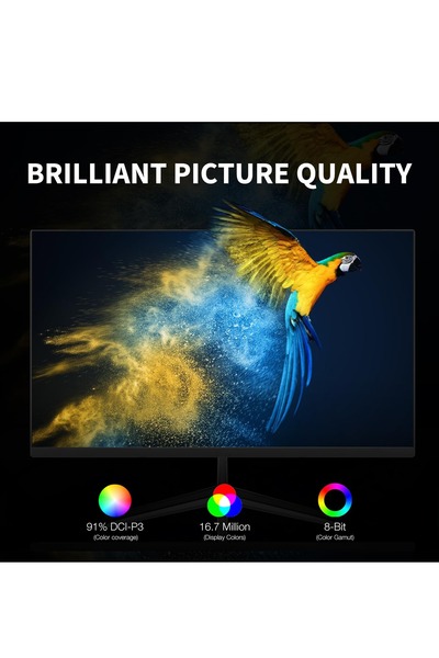 FlashHawk 23.8" Flat FHD Computer Monitor 100Hz,1920*1080 IPS Screen,1ms Response Time