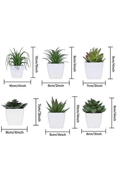 Choice Xs Green 6pcs Home Decoration, Mini Evergreen Artificial Succulent Small Potted Plants