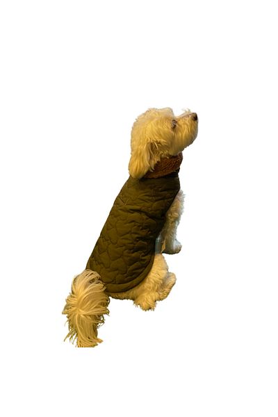 GedyCo Khaki Quilted Plush Inside Small Breed Dog Vest