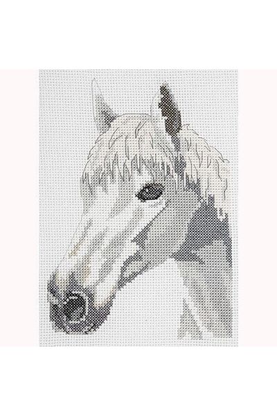 Anchor White Horse Pattern Cross Stitch Embroidery Kit 16X23Cm