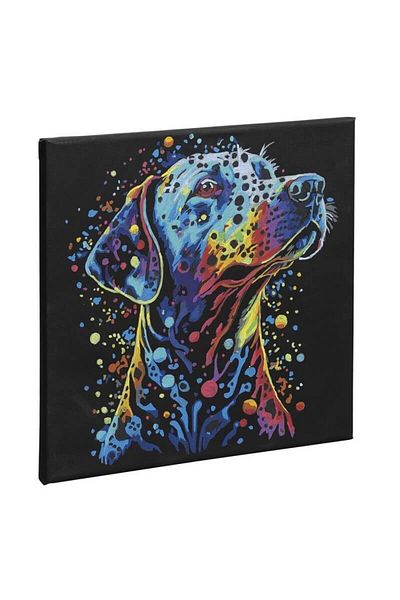 Nassau fine art Paint By Numbers Set 30x30 Cm Black Canvas Dog