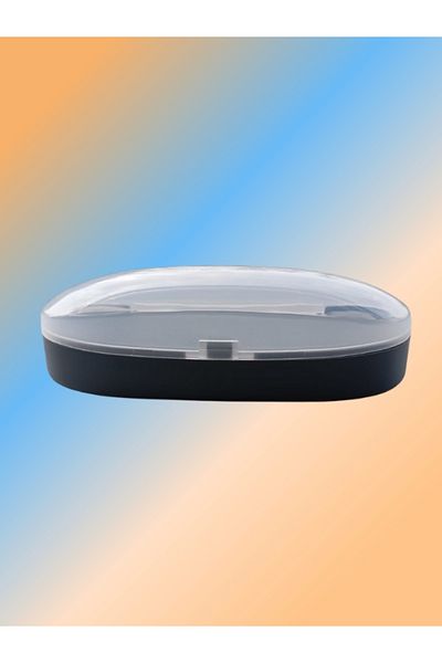 Safari Gray Body Transparent Cover Sun Glasses Case Protection and Elegance in One