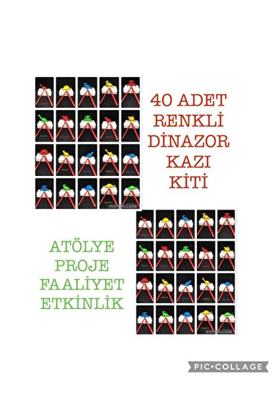 AZİZ OYUNCAK 40 Ad Jurassic Renkli Dinazor Kazı Kiti Aktivite Etkinlik Proje Atölye