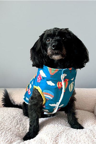 Lorico Blue Reversible Raincoat and Teddy Vest - Small and Large Breed Dog Vest Coat