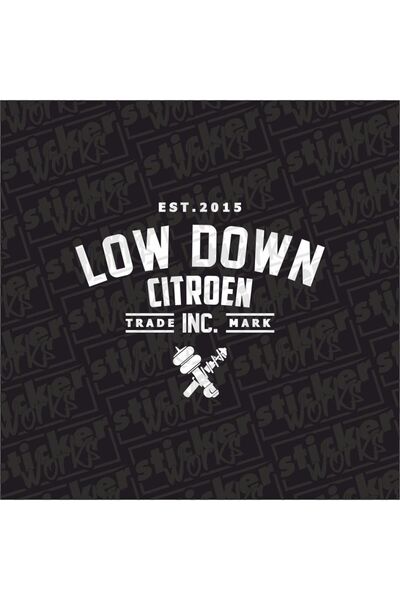 Sticker Works Low down Citroen Rear Window Hologram Sticker Compatible