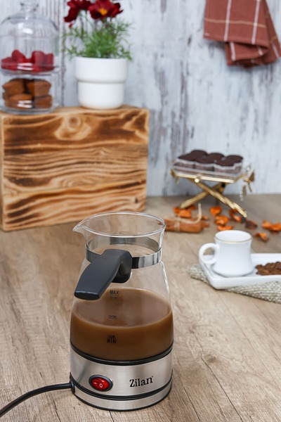 Zilan Ηλεκτρικός βραστήρας ZLN8122, διαφανής, ισχύς 800W, χωρητικότητα 500 ml, μπουκάλι