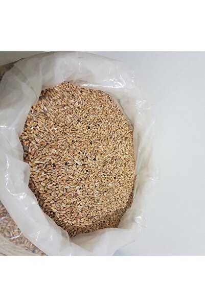 SİYEZ ÇİFTLİĞİ Üveyik Buğdayı (Şaman,Şahman,Kunduru) Atalık Bulgurluk Çiğ Tohum 1 kg